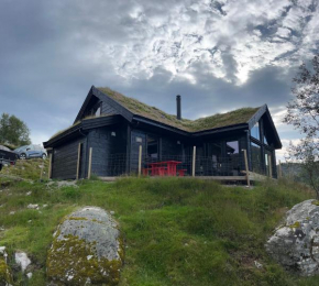 Fjellhytte i Bjerkreim